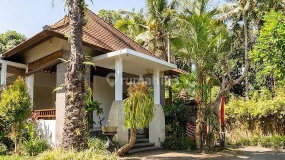 Villa Jual Lokasi Payangan 1