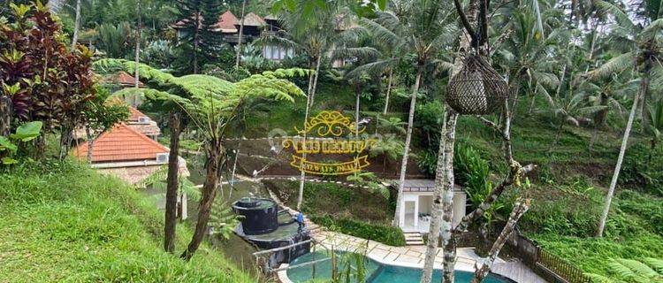 Villa Jual Lokasi Bersela 1