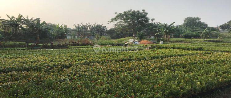 Tanah Strategis Bisa Untuk Rumah Gudang Dll Di Karang Tengah Tangerang 1