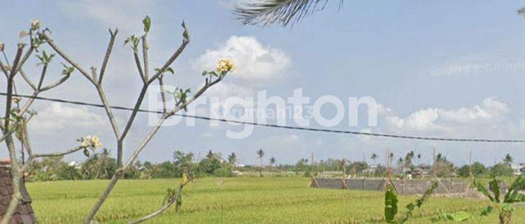 Tanah Kavling Strategis Pantai Seseh Canggu 1