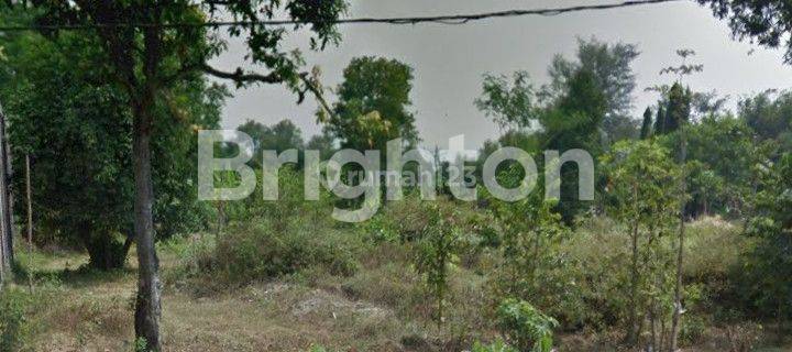 Tanah Luas Di Ngadiluwih Kediri 1