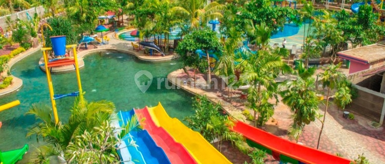 Hotel Di Buleleng Bali 1