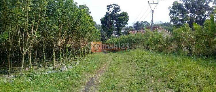 Harga Nego! Dijual Kavling Pabrik Sukabumi Bonus Isi SHM 20.570m2, 20 menit dari Gerbang Tol Cibadak 1