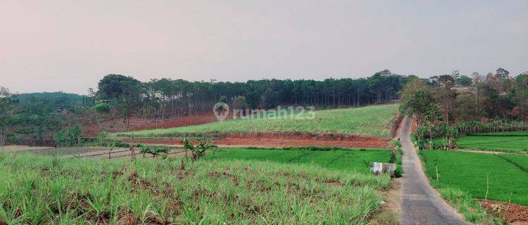 Tanah Tegalan / Perkebunan Dekat Wusata Sendang Songo 1