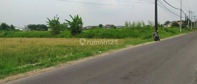 Tanah Strategis Dekat Jalan Adi Sucipto Cocok Untuk Perumahan 1