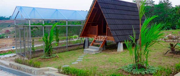 Jual Tanah Sertifikat Siap Bangun Villa Dan Gratis Kebun Anggur, Pinggir Jalan Raya  1