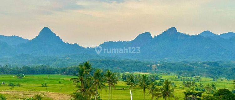 Dijual Tanah Kavling Terbaik Dengan Harga Terjangkau  1