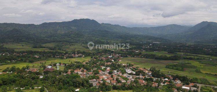 Dijual Tanah Kavling Terbaik Di Nuansa Alam Golden View Investasi Tanah Dengan Harga Terjangkau  1