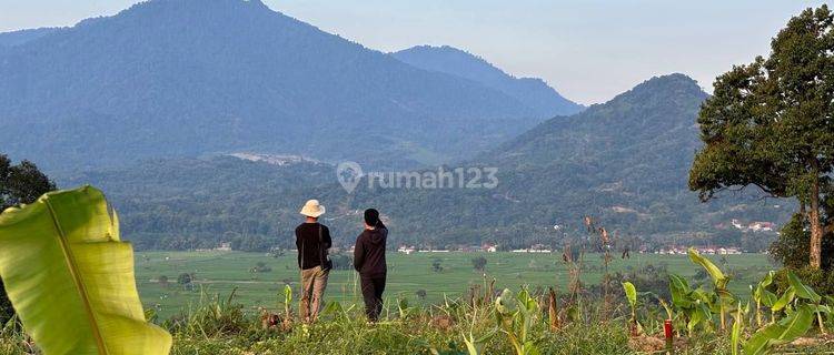 Dijual Tanah Murah Siap Bangun Villa Dan Rumah  1