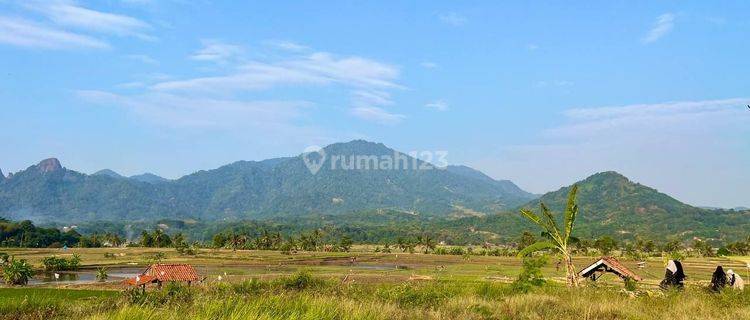 Dijual Tanah Kavling Terbaik Dengan Harga Murah Siap Bangun  1