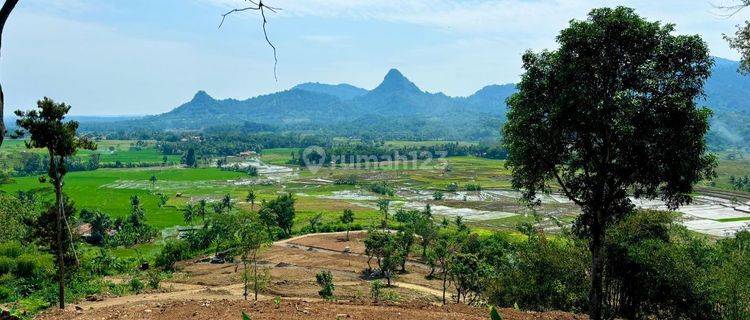 Jual Tanah Murah Siap Bangun Villa Dan Perkebunan  1