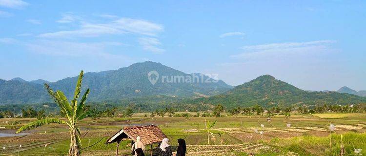 Jual Tanah Kavling Terbaik Dengan View Termegah  1