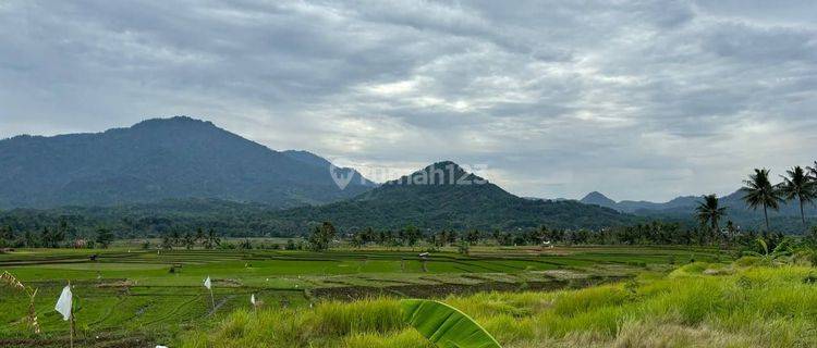 Dijual Tanah Kavling Terbaik Dengan Harga Terjangkau  1