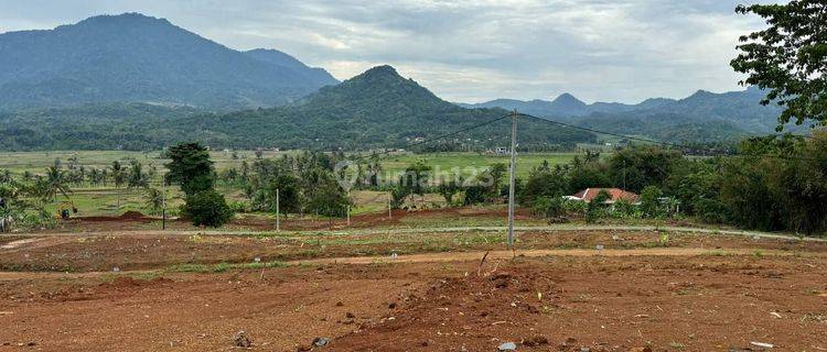 Jual Tanah Kavling Terbaik Dengan Harga Terjangkau  1