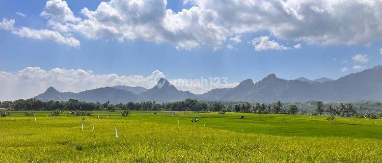 Dijual Tanah Murah Hanya Dengan Harga Terjangkau Lokasiny  Strategis  1