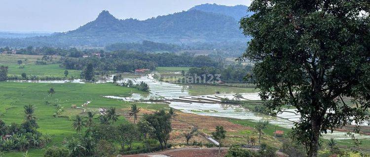 Dijual Tanah Kavling Villa Terestetik  1