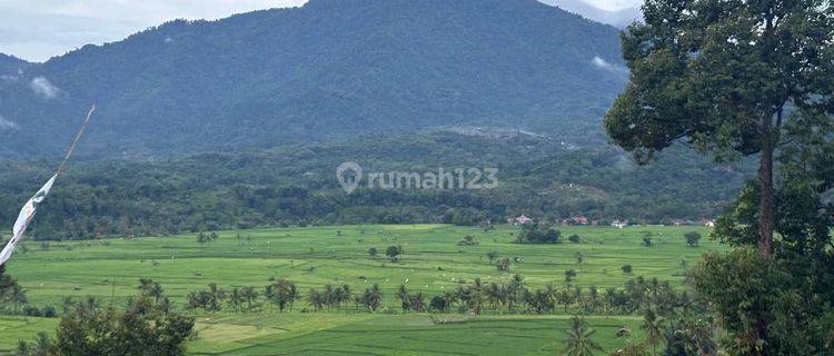 Dijual Tanah Kavling Terbaik Dengan View Termegah  1