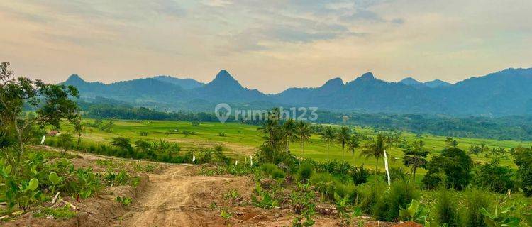 Dijual Tanah Kavling Terbaik Dengan View Terindah  1