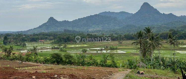 Dijual Tanah Kavling Terbaik Dengan View Termegah  1