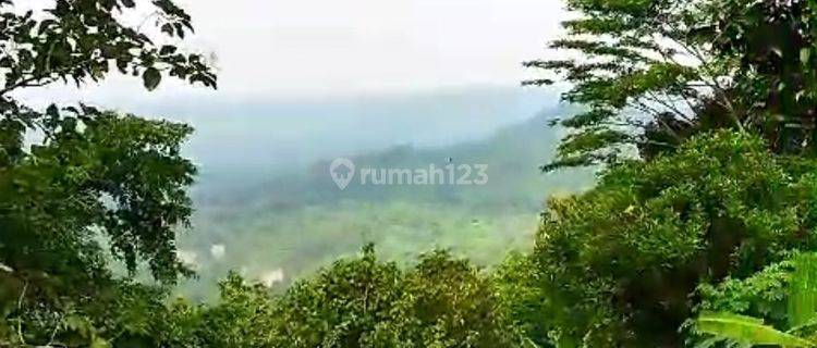 DIJUAL TANAH BUKIT DI PUDAK PAYUNG COCOK UNTUK VILA / PERUMAHAN  1