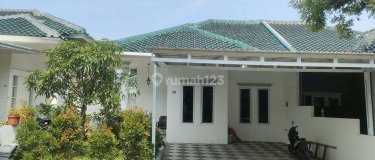 Dikontrakan Rumah Bulanan Di Sentul City 1