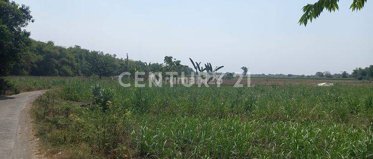 Tanah Seluas 258.925m² di Ngoro, PG Krembung Sidoarjo (EA) 1