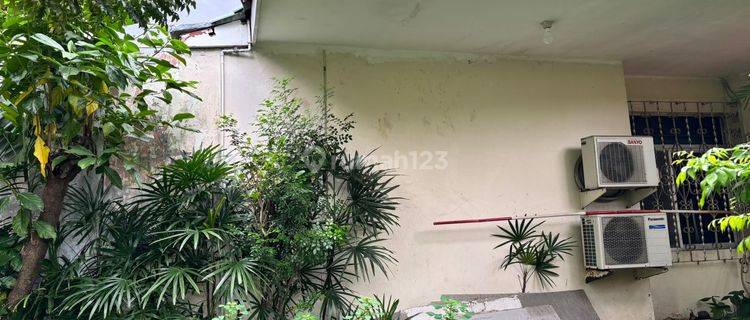Rumah Lama Cemapak Putih Tengah Jakarta Pusat 1
