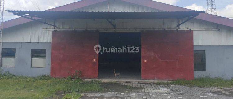 Gudang Luas 40 Are Disewakan di Batubulan, Gianyar 1