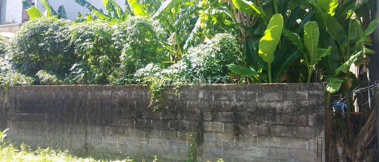 Tanah Premium 5 are Disewakan, di Renon 1