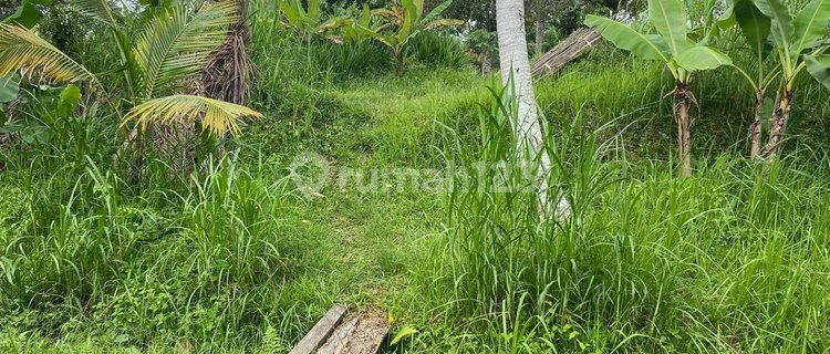 Tanah 42.57 are Di Jalan Utama Dijual, di Tabanan 1