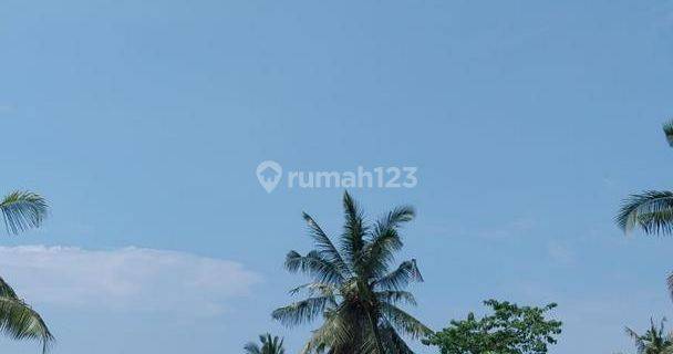 Tanah 24 are pariwisata sunset & river view Disewakan, di Tabanan 1