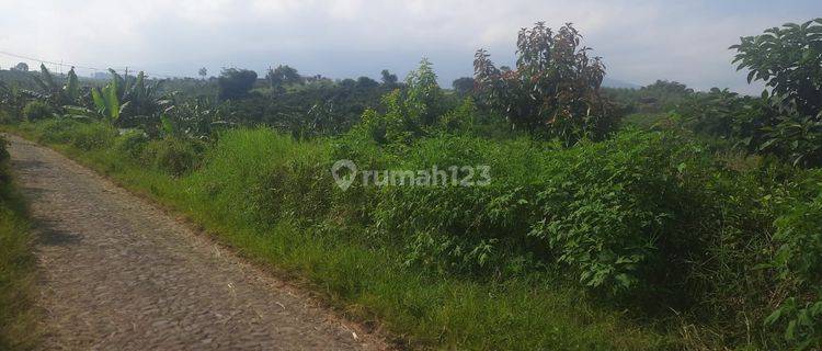 Tanah Luas Subur Untuk Kebun Investasi Di Giripurno, Kota Batu 1