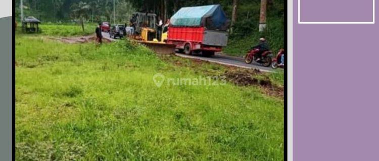  Tanah Potential Murah Poros Jalan Bagus Untuk Villa,pujon Malang 1