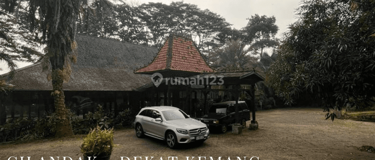 Tanah Luas 5.555m2 Bonus Bangunan Etnik Dekat Kemang Raya  1