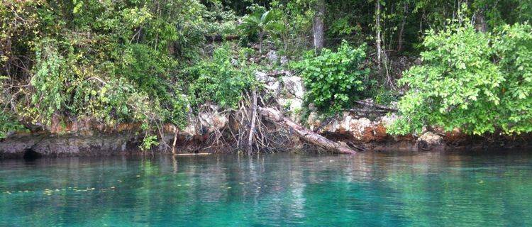 For Rent Land Raja Ampat Papua Barat 
1 Hektare Avaliable For 10 Hektare 
Good for make Resort, Villa, Hotel
Front Of Katembe Priate Island 
Complete with IMB
Rent lesehold 20 Year
200.000Usd Or Rp 3 Milyar
Or 150 JT/1 Hektare/1 Year 1