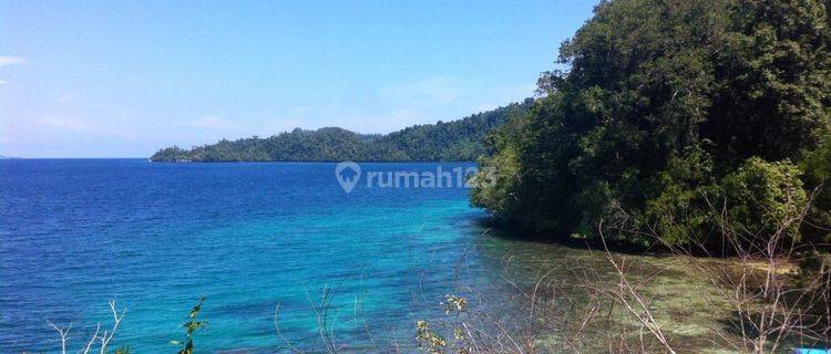 For Rent Land Raja Ampat Papua Barat 
1 Hektare Avaliable For 10 Hektare 
Good for make Resort, Villa, Hotel
Front Of Katembe Priate Island 
Complete with IMB
Rent lesehold 20 Year
200.000Usd Or Rp 3 Milyar
Or 150 JT/1 Hektare/1 Year 1