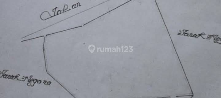 Tanah Di Malino 3.201 Metertinggimoncong Jalan Poros Lewati Tempat Main Hutan Pinus 1