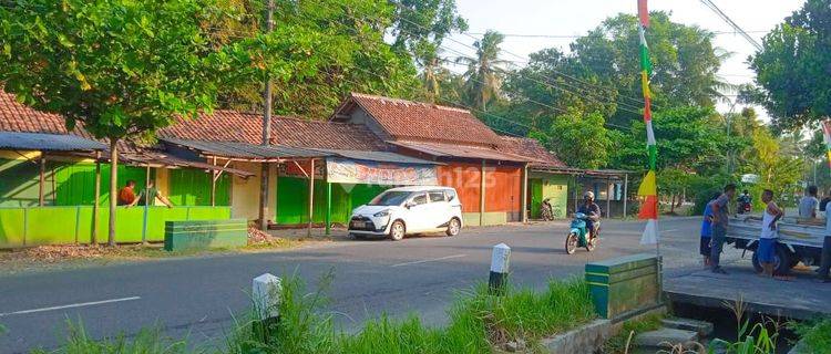 Tanah di Brosot, Kulon Progo SHM 178 m² 1