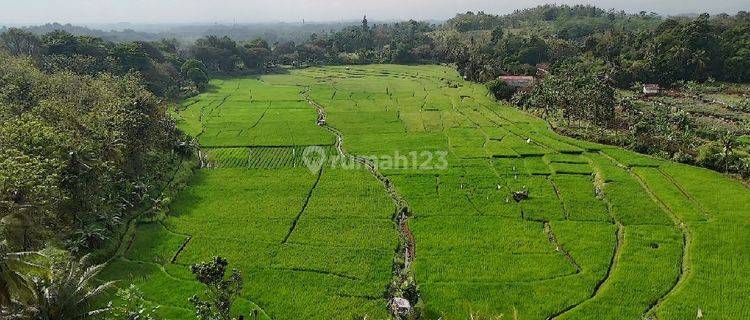 Dijual Murah Tanah Di Cianjur Cibinong Hilir Bisa Dibeli Sebagian Cocok Untuk Tempat Wisata Pertanian atau Perumahan 1