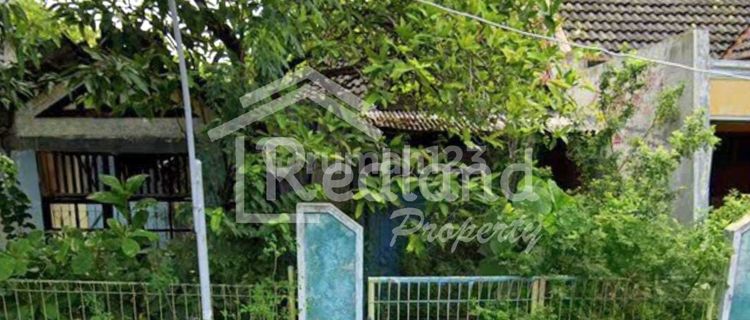 Land in the Muktiharjo area, Semarang (Me 8116) 1