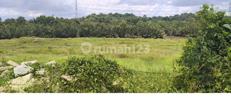 Disewakan Lahan 1 Hektar Di Km 13 Kawasan Industri Balikpapan 1