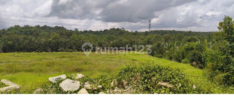 Disewakan Lahan 1 Hektar Di Kawasan Industri Kariangau Km 13 Balikpapan 1
