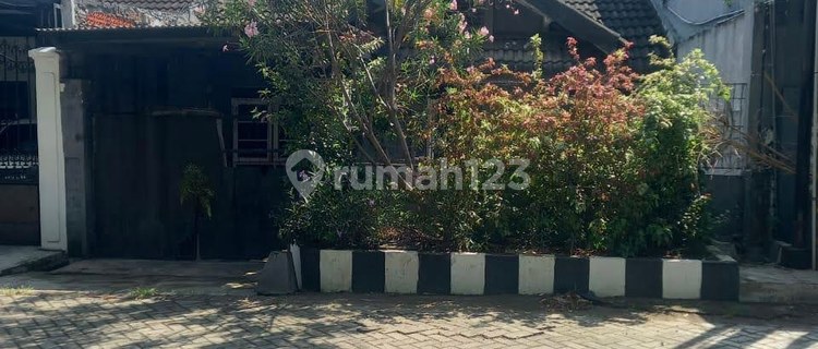 Bw11 For Sale Cheap Ready-to-Occupy House Near Toll Access with SHM in Wiguna, Surabaya 1