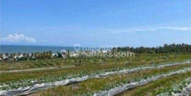 Land for Sale Near Klecung Beach Banjar Bobali Selemadeg Timur Tabanan Bali Indonesia Strategic 10 Minutes to Soka Antasari Tabanan Toll Gate 1