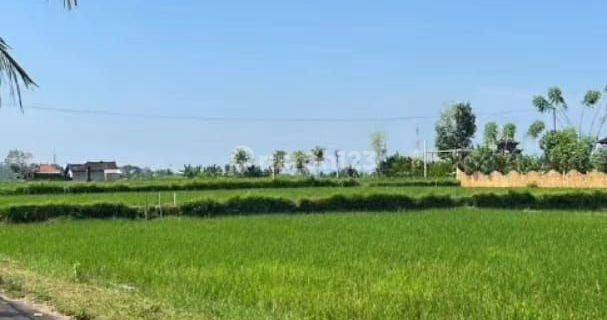 For rent the villa is in the middle of a large rice field, quiet, no noise, 10 minutes from the center of Ubud, monkey forest, Ubud Gianyar

, For rent Villa rice field view Sayan 10 menutes from Central Ubud Gianyar, mongkey fores.Gianyar Bali Indonesia  1