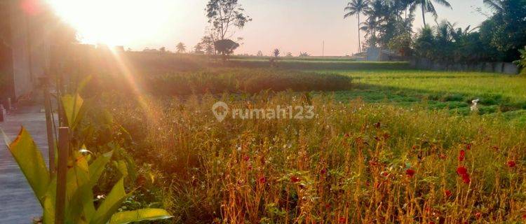 For rental villa Ubud 10 menutes Central Ubud, Villa beautiful Rice Field View 2 Bedroom 2 bathroom Furnished Wi-Fi IDR 27.000.000 strategis 40 menit From Canggu Nyanyi beach Tanah Lot tabanan Bali  1