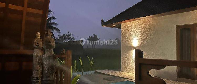 For Rent Villa The Middle Rice Field With No Neighbors10 Menutes From Central Ubud Mongkey Forest 40 Menutes From Canggu Nyanyi Beach Tanah Lot Tabanan Bali Rice Field View Ubud Villa In The Middl 1