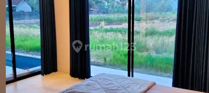 For Rent Villa Rice Field Viewavalaible Bungalow, 2 Bedroom Rice Field View 10 Menutes From Mongkey Forest Sentral Ubud Gianyar You Feel The Natural Beauty Of Ubud Which Is Very Authentic Ubud Gianyar Bali Ubud Bali 2 Bedroom Villa Available December 3 An 1
