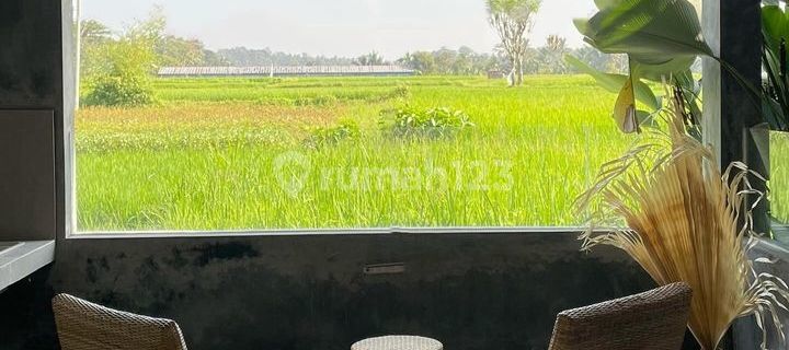 For Rent Villa Rice Field View 10 Menutes Feom Central Ubud Gianyar Bedroom Villa Available December 3 And Available Now 1 Bedroom With Natural Panoramic Views Of The Most Beautiful Rice Fields In Ubud, Feel The Sensation Near Varvara Internasional School 1