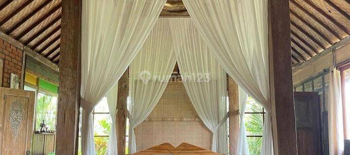 For Rent Villa 1 Bedroom Villa Available December 3 And Available Now 1 Bedroom With Natural Panoramic Views Of The Most Beautiful Rice Fields In Ubud, Feel The Sensation Near Varvara Internasional School 1 Bedroomthe Most Beautiful Rice Fields Singakerta 1